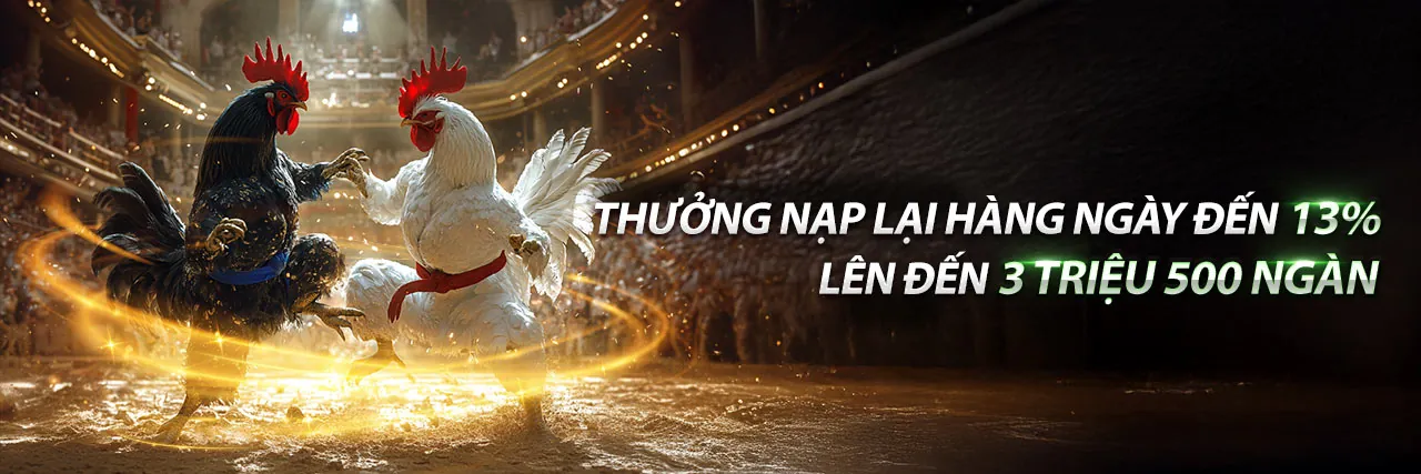 Sân đấu đá gà Vicwin sôi động